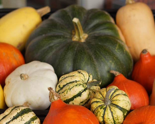 KI generiert: Verschiedene Kürbisse in verschiedenen Farben und Formen liegen zusammen.