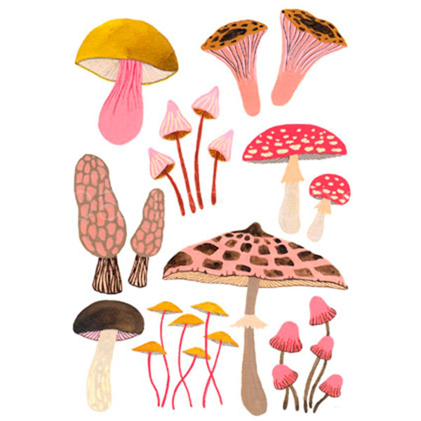 Produktfoto zu Postkarte Pilze