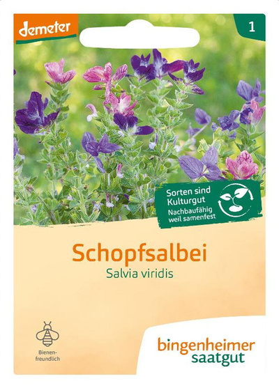 Produktfoto zu Saatgut Schopfsalbei