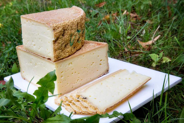 Produktfoto zu Dannauer Pikanto Hof Berg