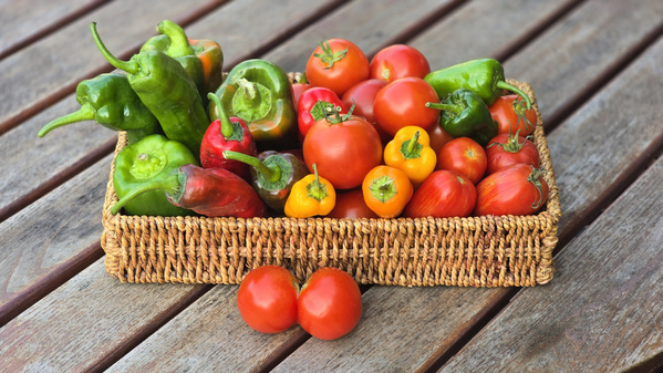KI generiert: Ein Korb mit Paprika und Tomaten auf einem Holztisch.