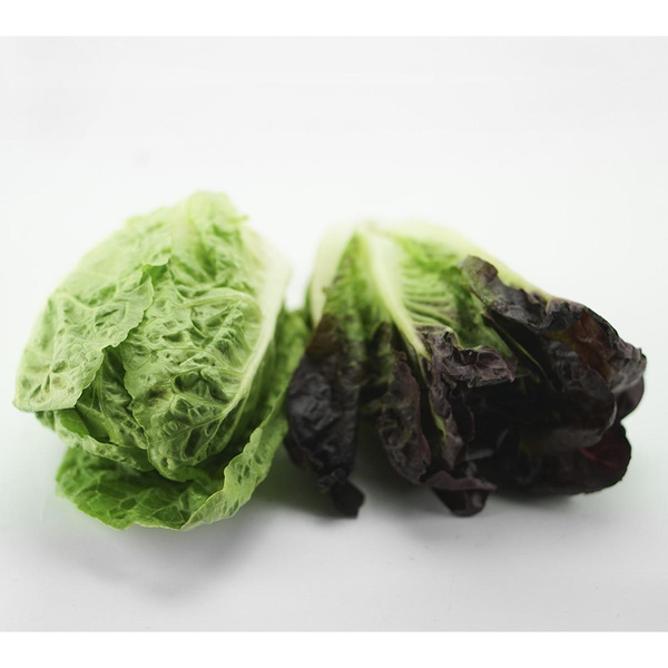 Produktfoto zu Mini-Römersalate Mix