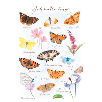 Produktfoto zu Postkarte Schmetterlinge