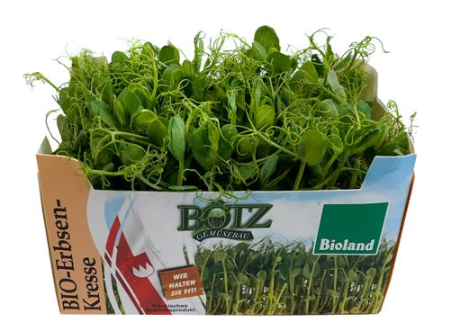 Erbsenkresse im Schälchen von Gemüsebau Roland Bötz