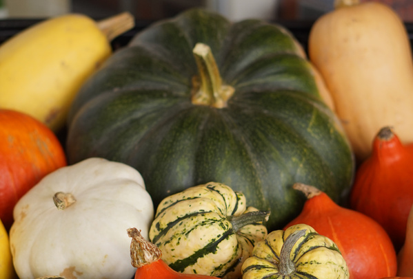 KI generiert: Verschiedene Kürbisse in unterschiedlichen Farben und Formen sind sichtbar.