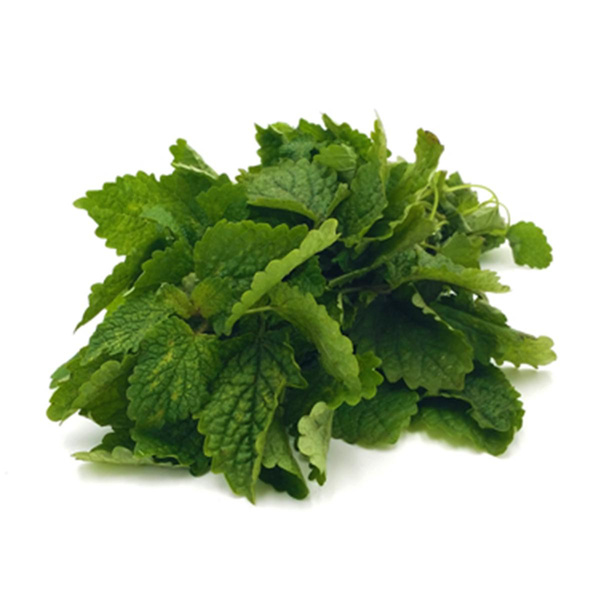 Produktfoto zu Zitronenmelisse