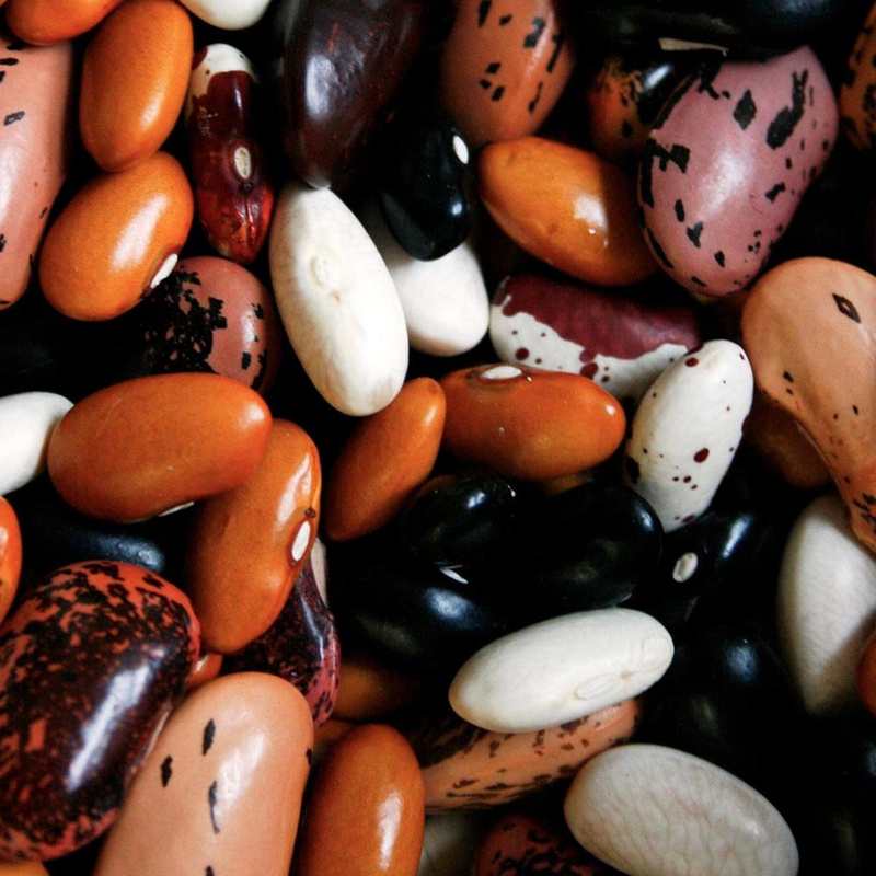 Hülsenfrüchte & Saaten