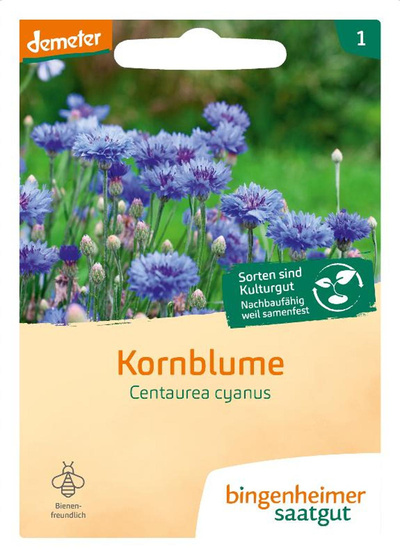 Produktfoto zu Saatgut Kornblume blau