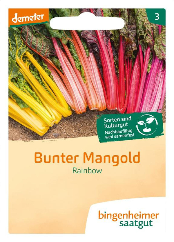 Produktfoto zu Saatgut Mangold Rainbow, bunter Mangold