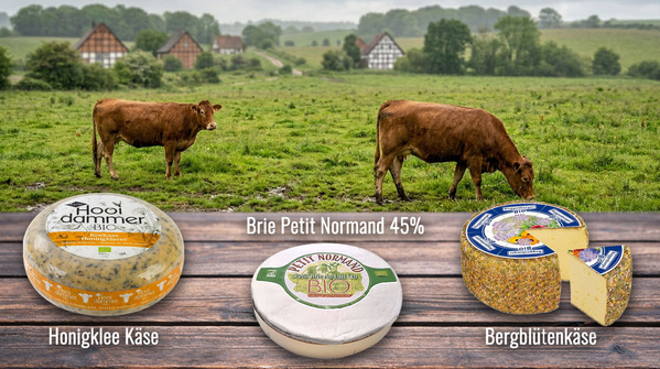 Unser Käse-Trio der Woche