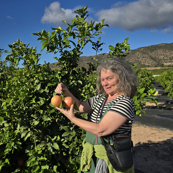 KI generiert: Eine Frau steht in einem Obstgarten und hält zwei Orangen in der Hand. Im Hintergrund sieht man grüne Laubbäume, einen klaren Himmel und eine hügelige Landschaft.