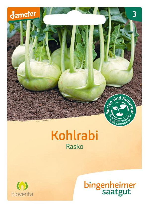 Produktfoto zu Saatgut Kohlrabi Rasko
