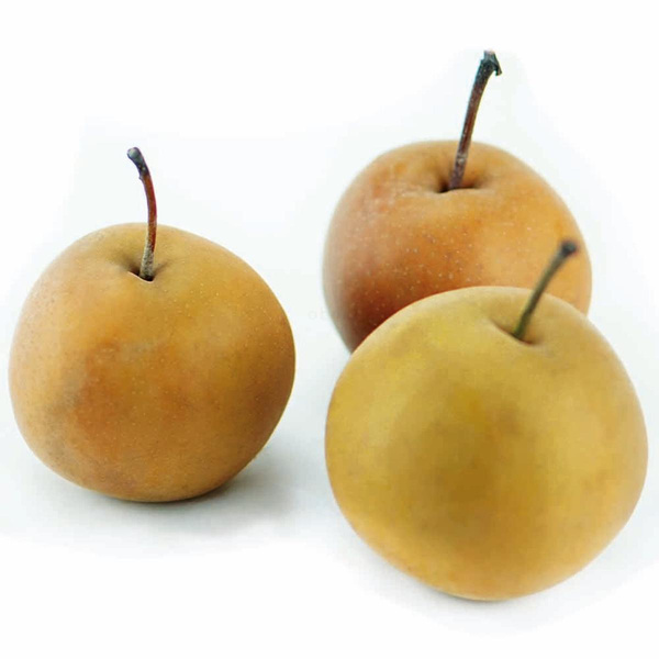 Produktfoto zu Birne Nashi