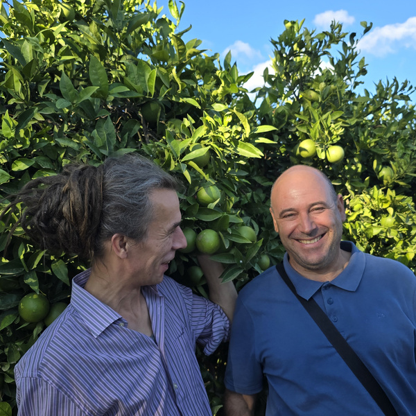 Auf der Orangenplantane zeigt Felix die noch unreifen Orangen am Baum, neben ihm steht einer der Verantwortlichen des Betriebes El Lomo