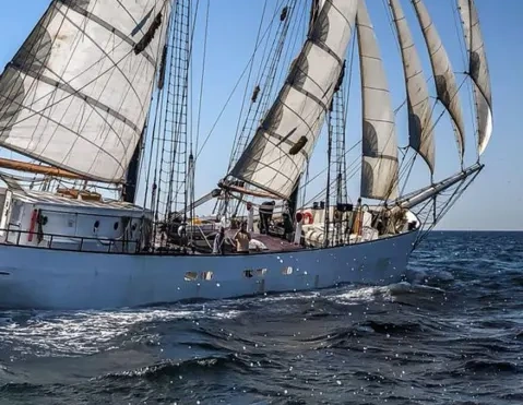 Grünland Sodasan Segelboot als Transportmittel