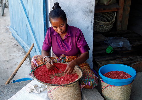 Grünland Bio Lieferant Farfalla