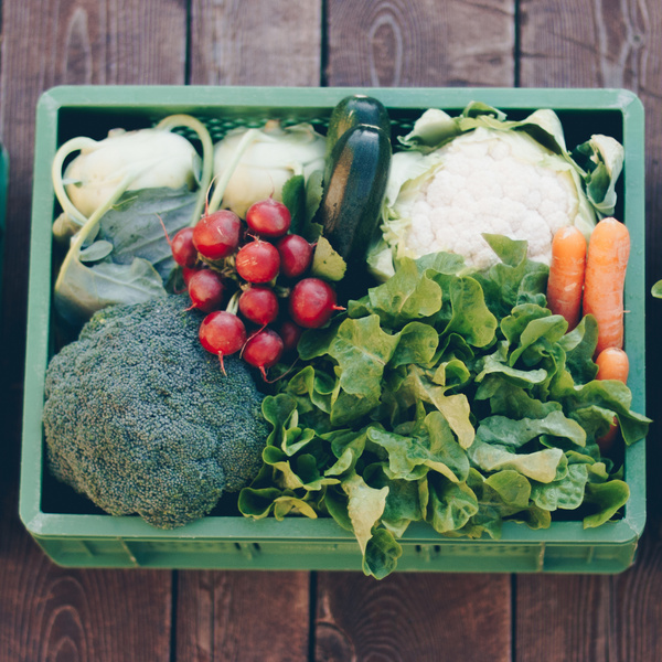 Mehrwegkiste gefüllt mit Biogemüse