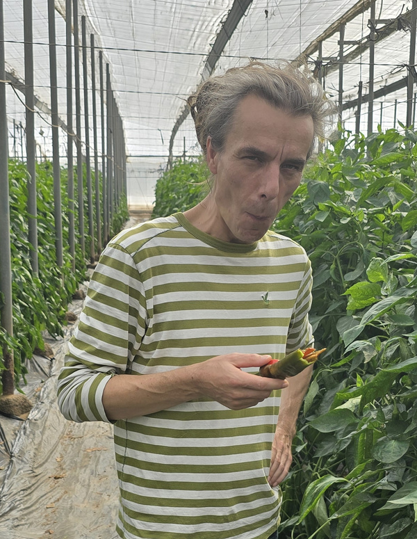 KI generiert: Das Bild zeigt eine Person, die in einem Gewächshaus steht und auf eine Pflanze schaut. Sie trägt ein gestreiftes Hemd und befindet sich zwischen zwei Reihen von Pflanzen.