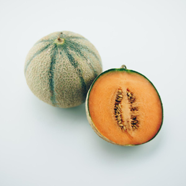 Produktfoto zu Honigmelonen 'Charentais'