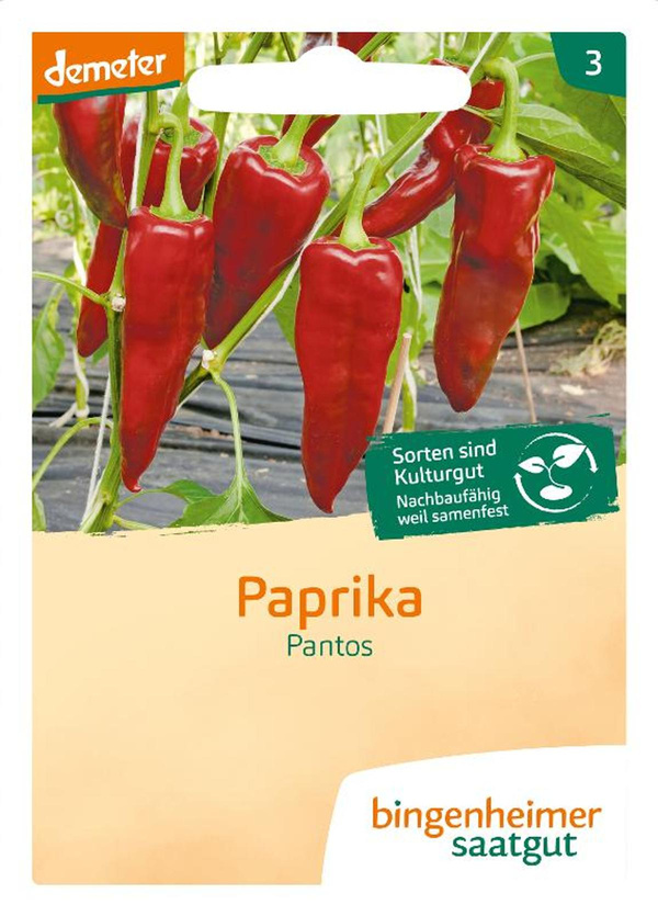Produktfoto zu Saatgut Paprika Pantos