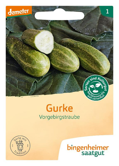 Produktfoto zu Saatgut Einlegegurke Vorgebirgstraube