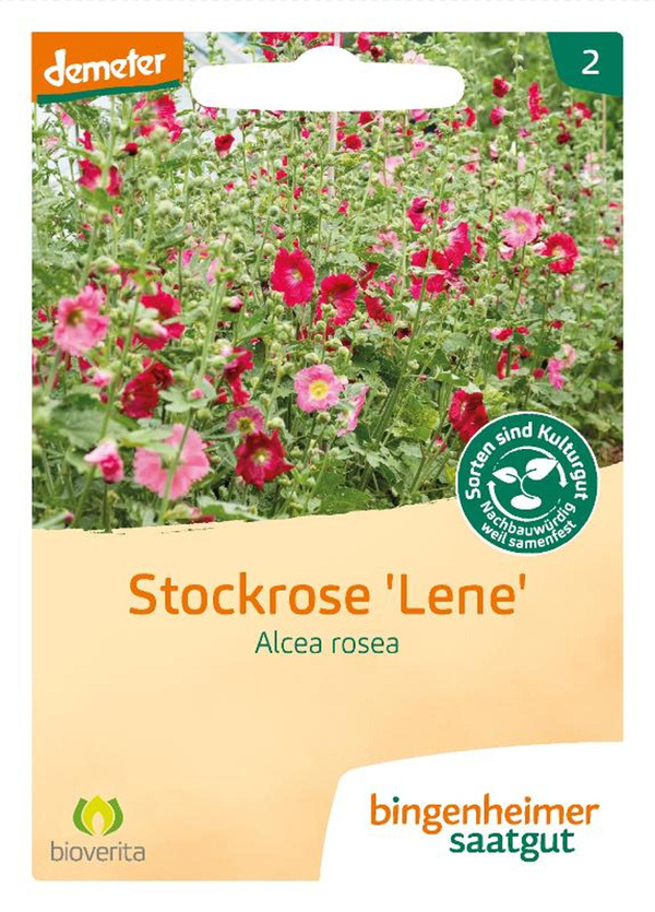 Produktfoto zu Saatgut Stockrose