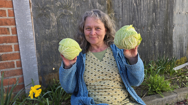 Felix Neumann auf einem Mangoldfeld mit buntem Mangold in der Hand