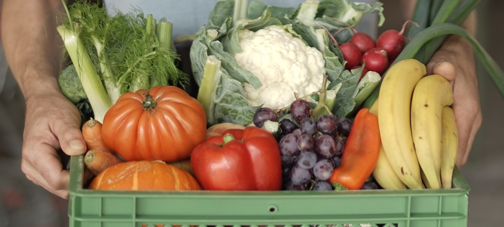 Voll gepackte Biokiste mit Obst und Gemüse wird getragen
