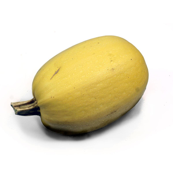 Produktfoto zu Spaghetti Kürbis