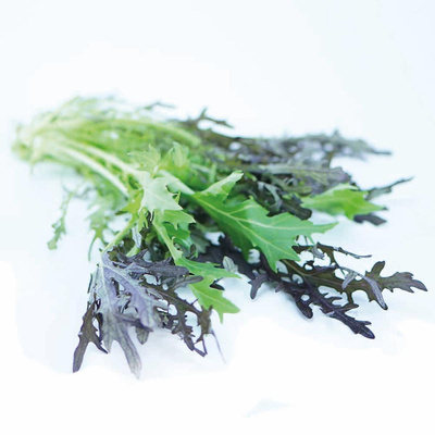 Produktfoto zu Feine Wildsalatmischung