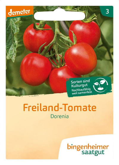 Produktfoto zu Saatgut Tomate Dorenia, Freiland -Tomate