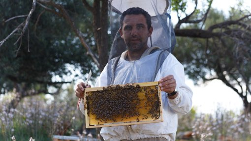 Grünland Bio Lieferant Ölkännchen Imker im Olivenhain