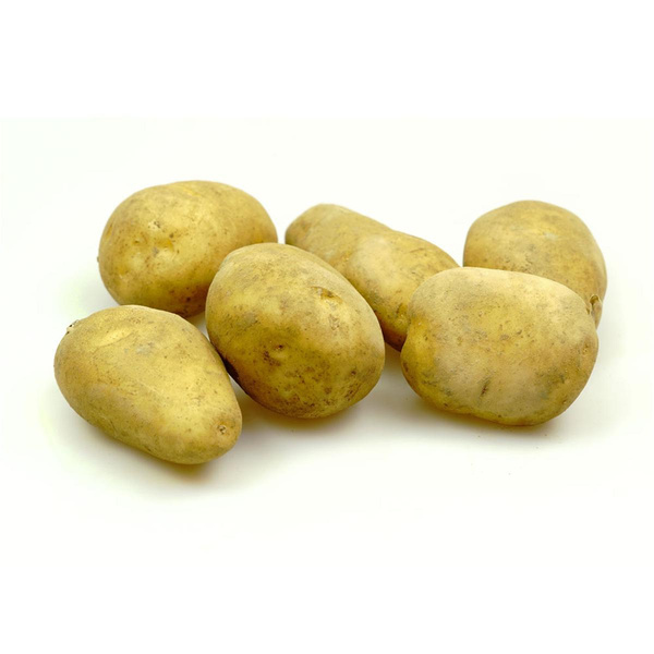 Produktfoto zu Kartoffeln Melody mk