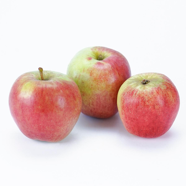 Produktfoto zu Äpfel Knebusch