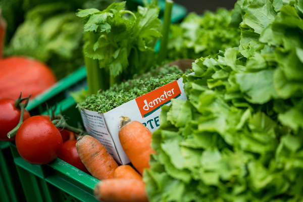KI generiert: Frisches Gemüse wie Salat, Tomaten und Karotten in einem Korb. Text: "demeter".
