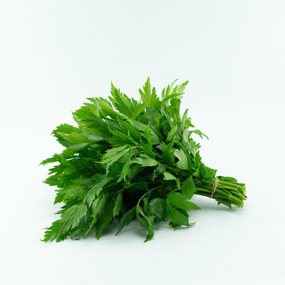 Produktfoto zu Liebstöckel
