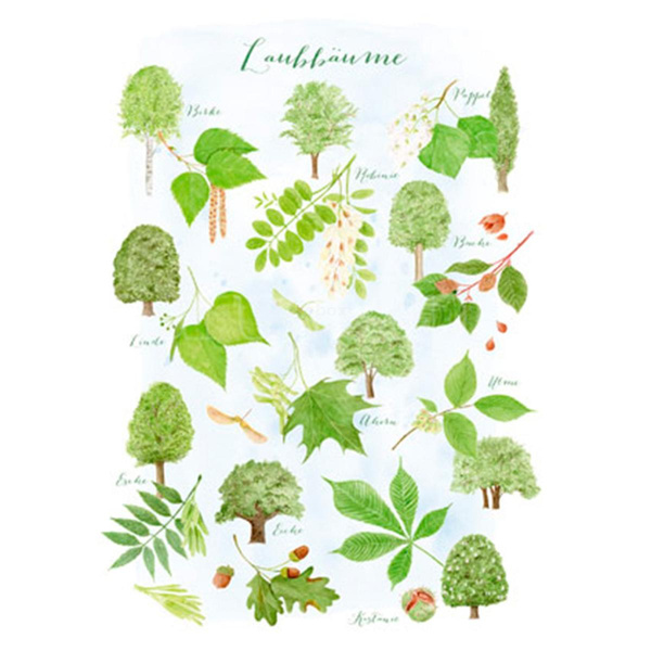 Produktfoto zu Postkarte Laubbäume