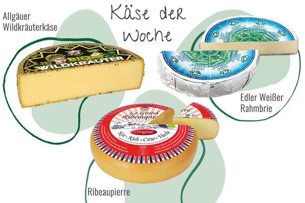 Drei Käsesorten aus der Abokiste in einem Bild