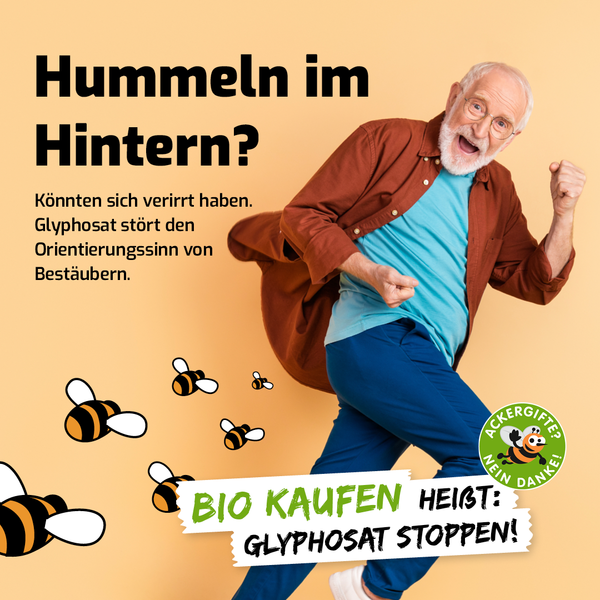 Hummeln im Hintern? Könnten sich wegen Glyphosat verirrt haben!
