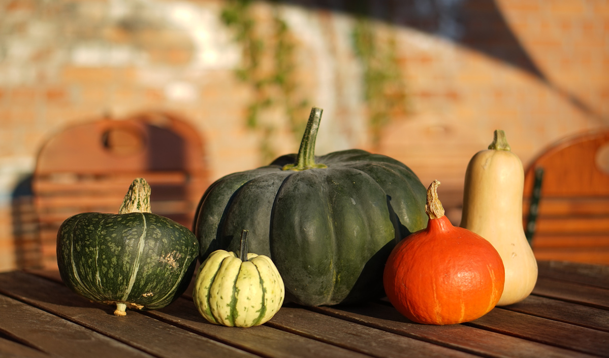 Regionale Kürbisvielfalt in der Abendsonne auf Holztisch