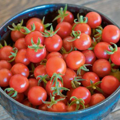 Produktfoto zu Tomatenpflanze Rote Murmel