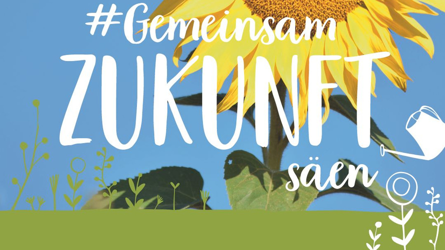 Hand mit Sonnenblumensaat und Saatguttüte