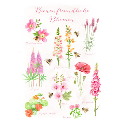 Produktfoto zu Postkarte Bienenfreundliche Blumen