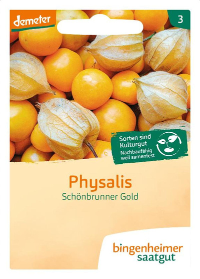 Produktfoto zu Saatgut Physalis Schönbrunner Gold