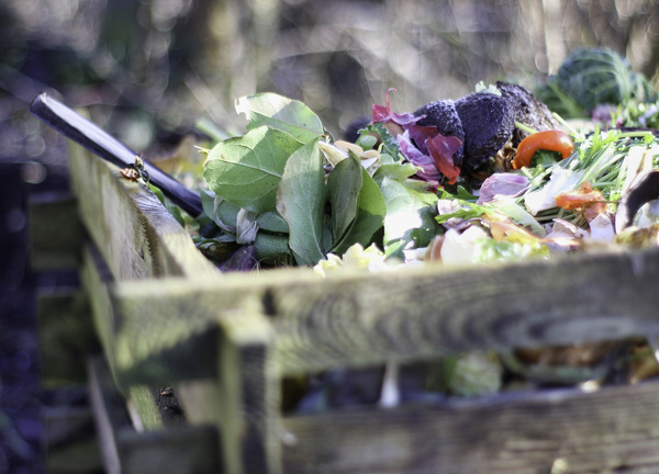 Kompost im Garten