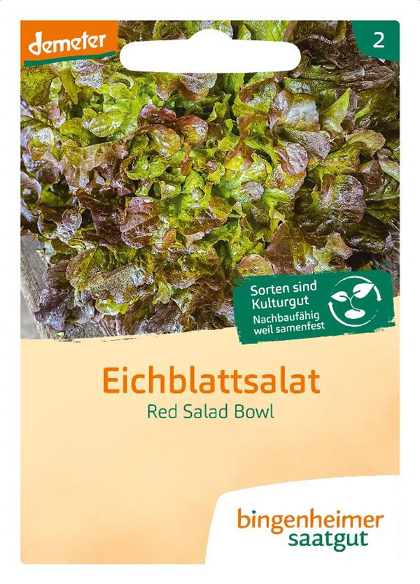 Produktfoto zu Saatgut Eichblattsalat Red Salad Bowl