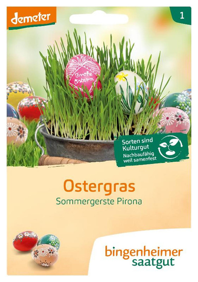 Produktfoto zu Saatgut Ostergras - Sommergerste Pirona