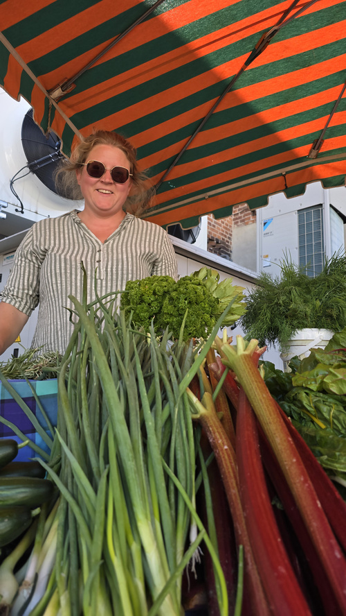 KI generiert: Frau hinter Gemüsestand mit Frühlingszwiebeln, Rhabarber und Salat unter gestreifter Markise.