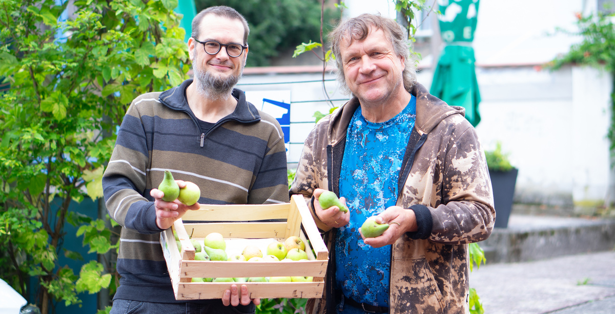 KI generiert: Zwei Männer halten eine Kiste voller Birnen.