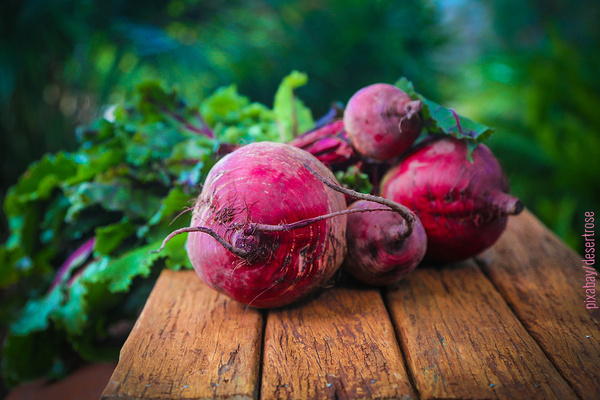 Rote Bete als Bund mit Grün auf verwittertem Holztisch
